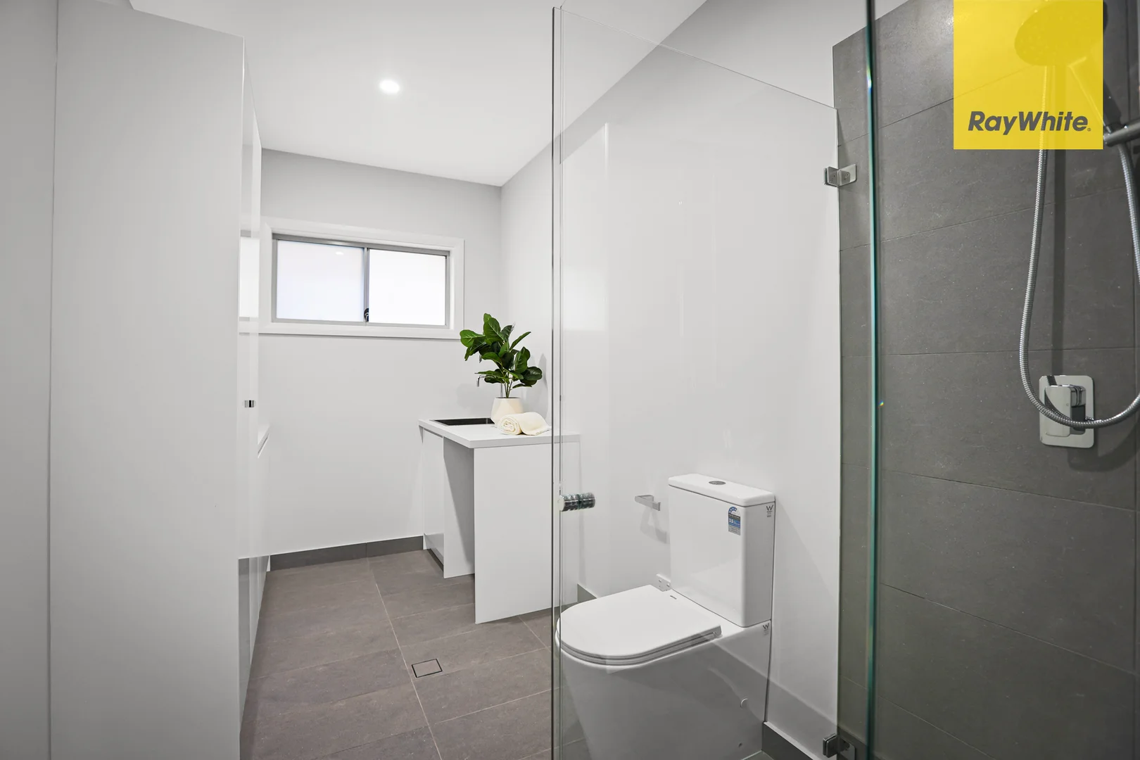 Additional image 14 of 12 Cavers Lane, Rosehill NSW 2142