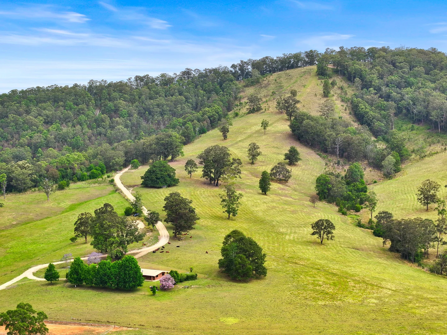 Additional image 6 of 273 Roelands Drive, Brombin NSW 2446