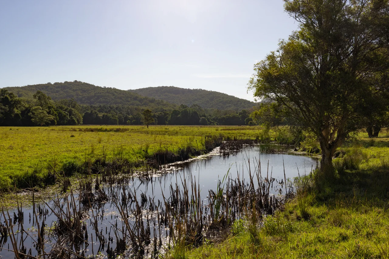 Additional image 16 of 56 Kemp Lane, Martinsville NSW 2265