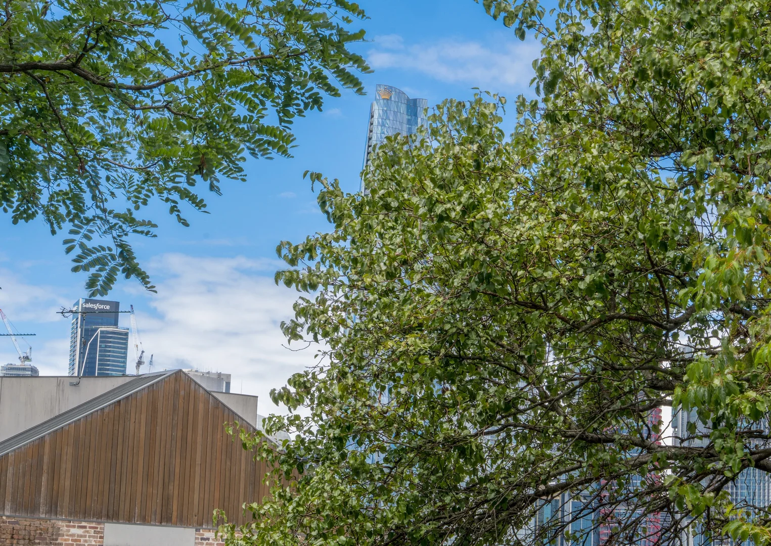 Additional image 14 of 12a Datchett Street, Balmain East NSW 2041