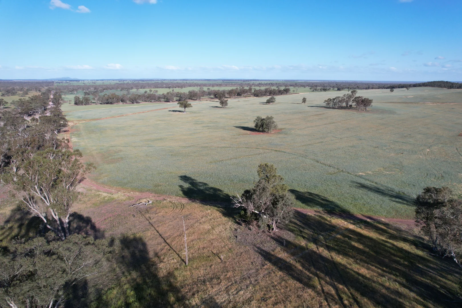 Additional image 5 of 1404 Lake Cowal, Forbes NSW 2871