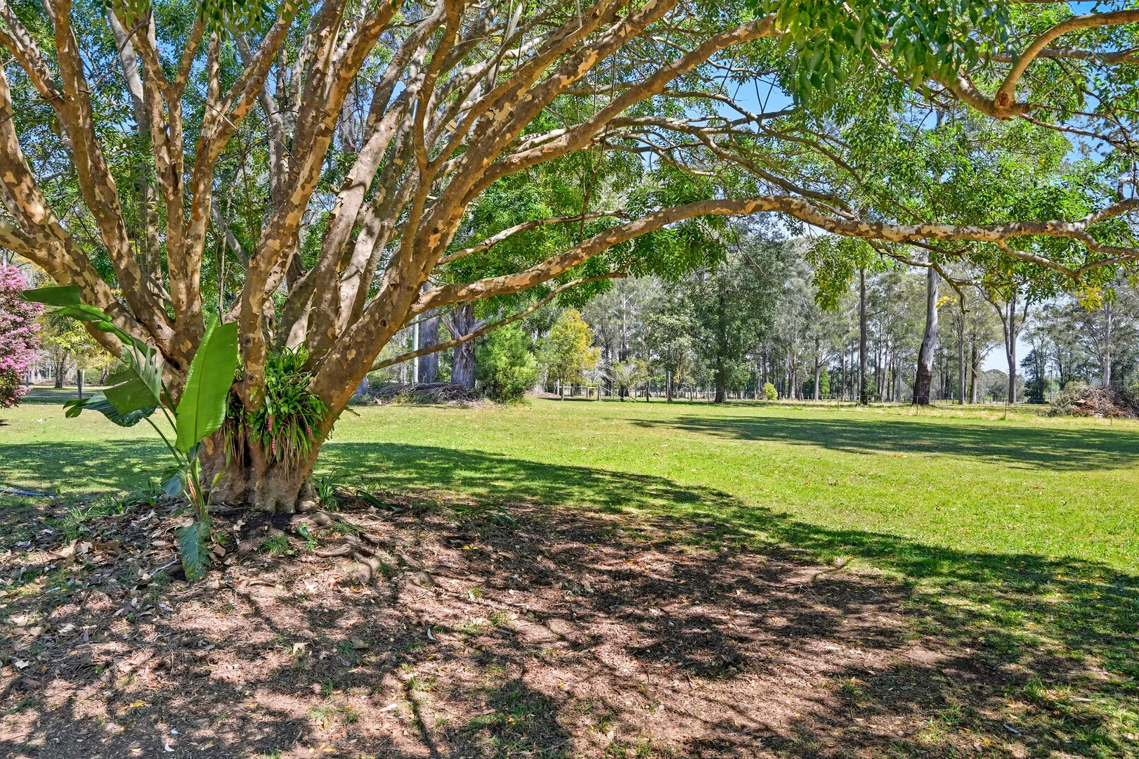 Additional image 22 of 29 Secombe Lane, Redbank NSW 2446