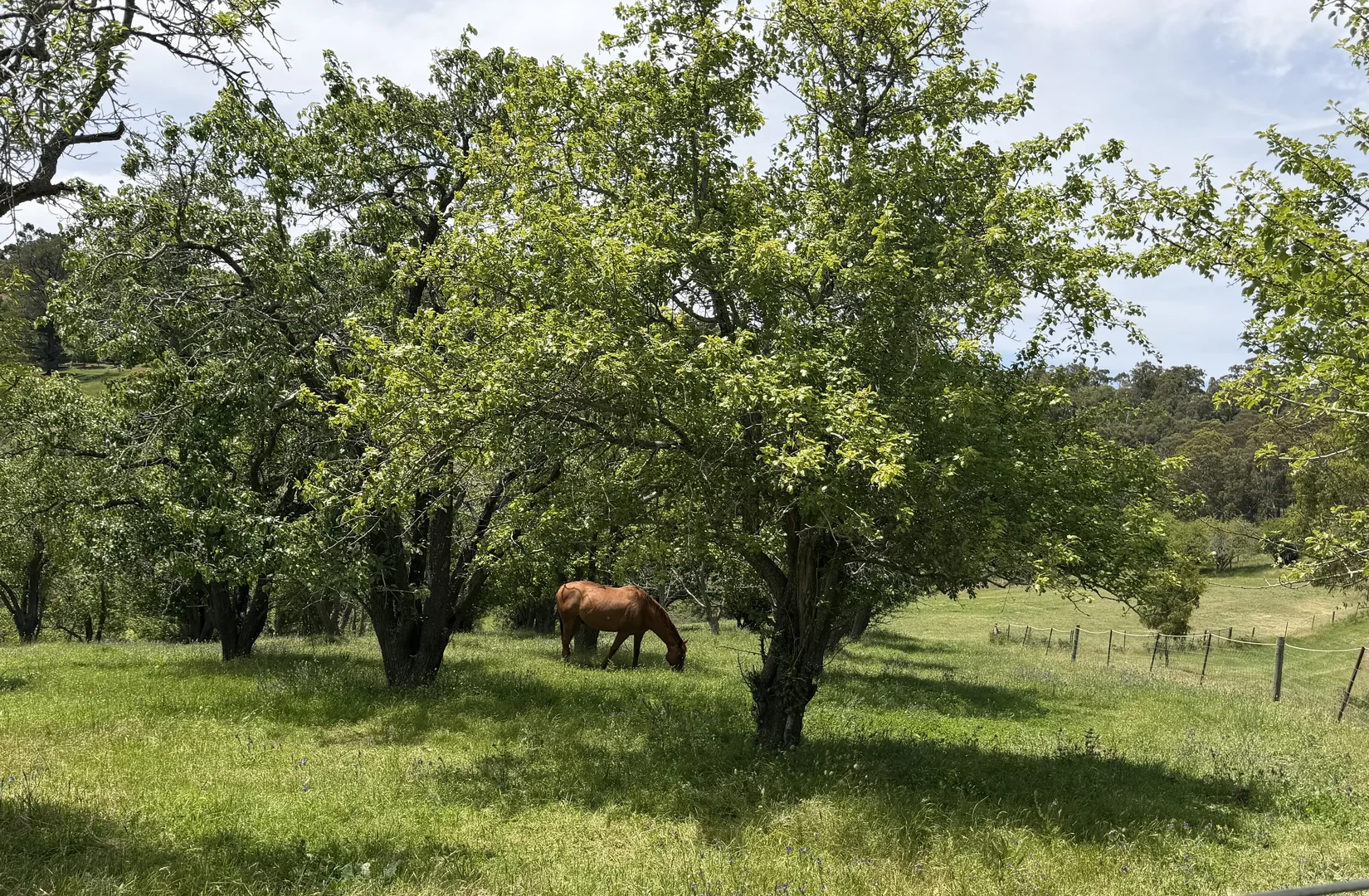 Additional image 22 of 255 Sturt Valley Road, Upper Sturt SA 5156