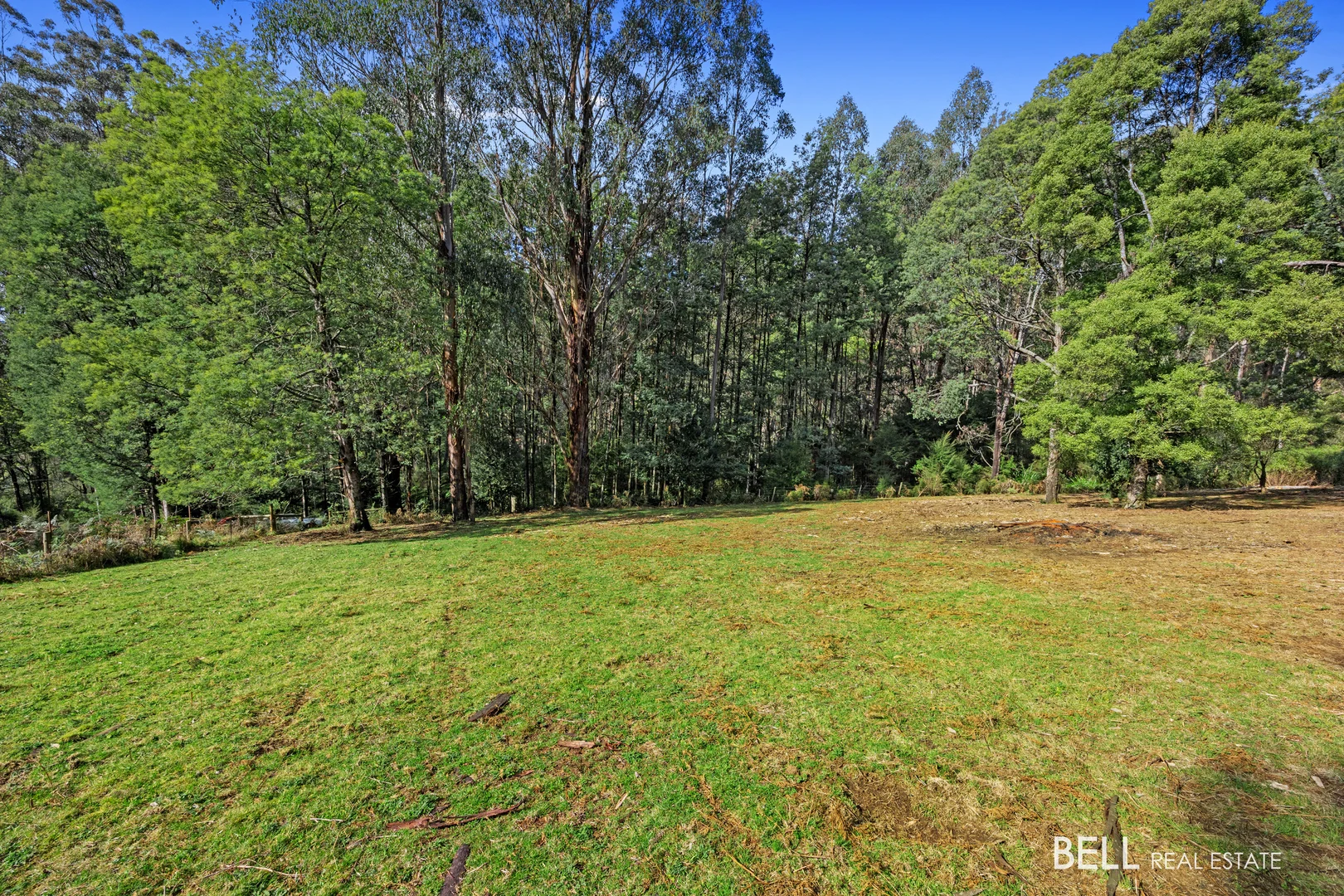 Additional image 8 of 555 Hazeldene Road, Gladysdale VIC 3797