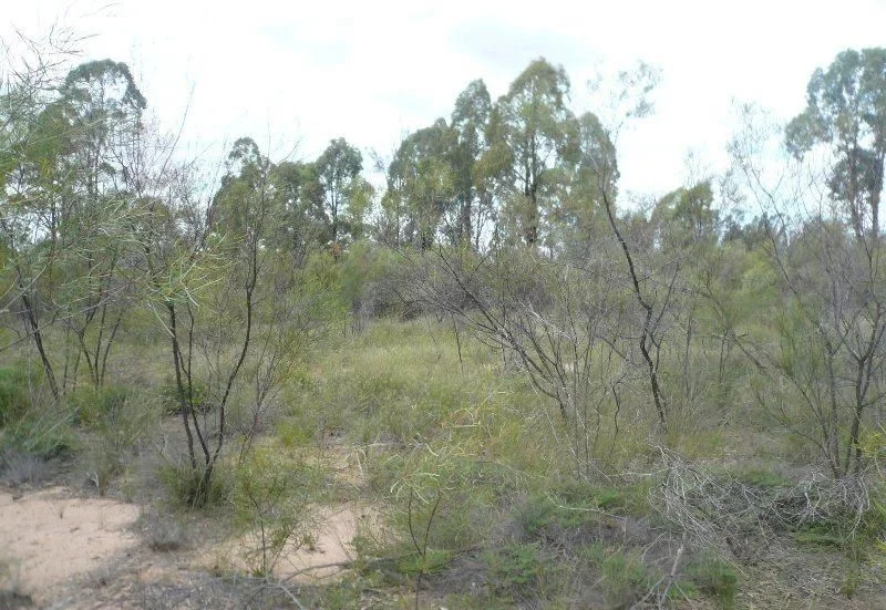 Additional image 3 of Lot 167 Thegathlyn Road, Tara QLD 4421