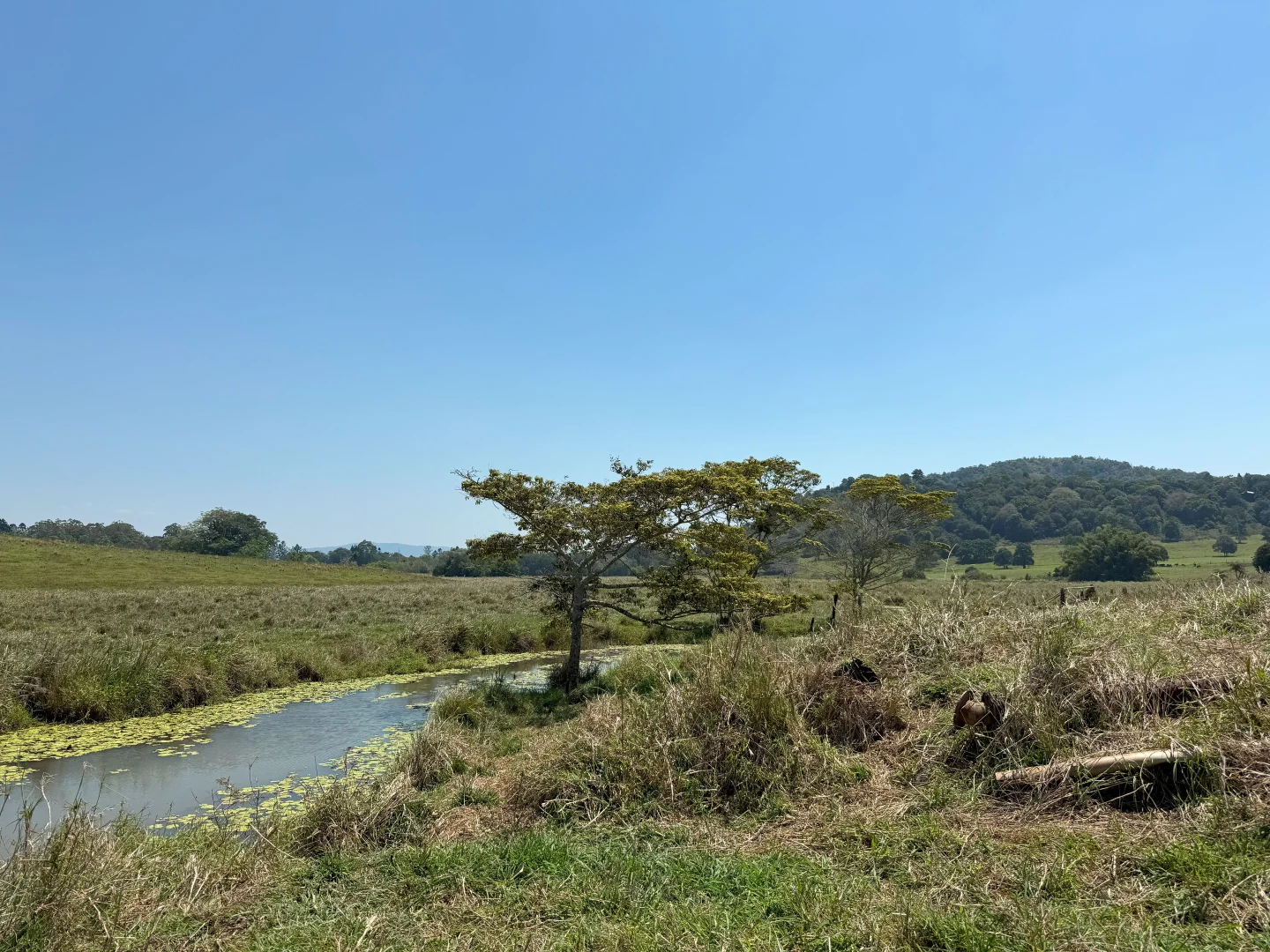 Additional image 71 of 767 Peeramon Road, Peeramon QLD 4885