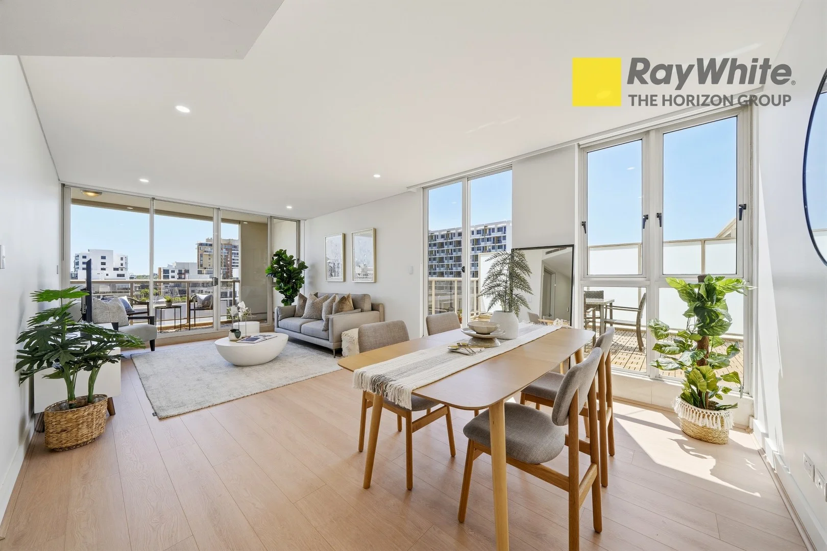 247/11 Potter Street, Waterloo NSW 2017