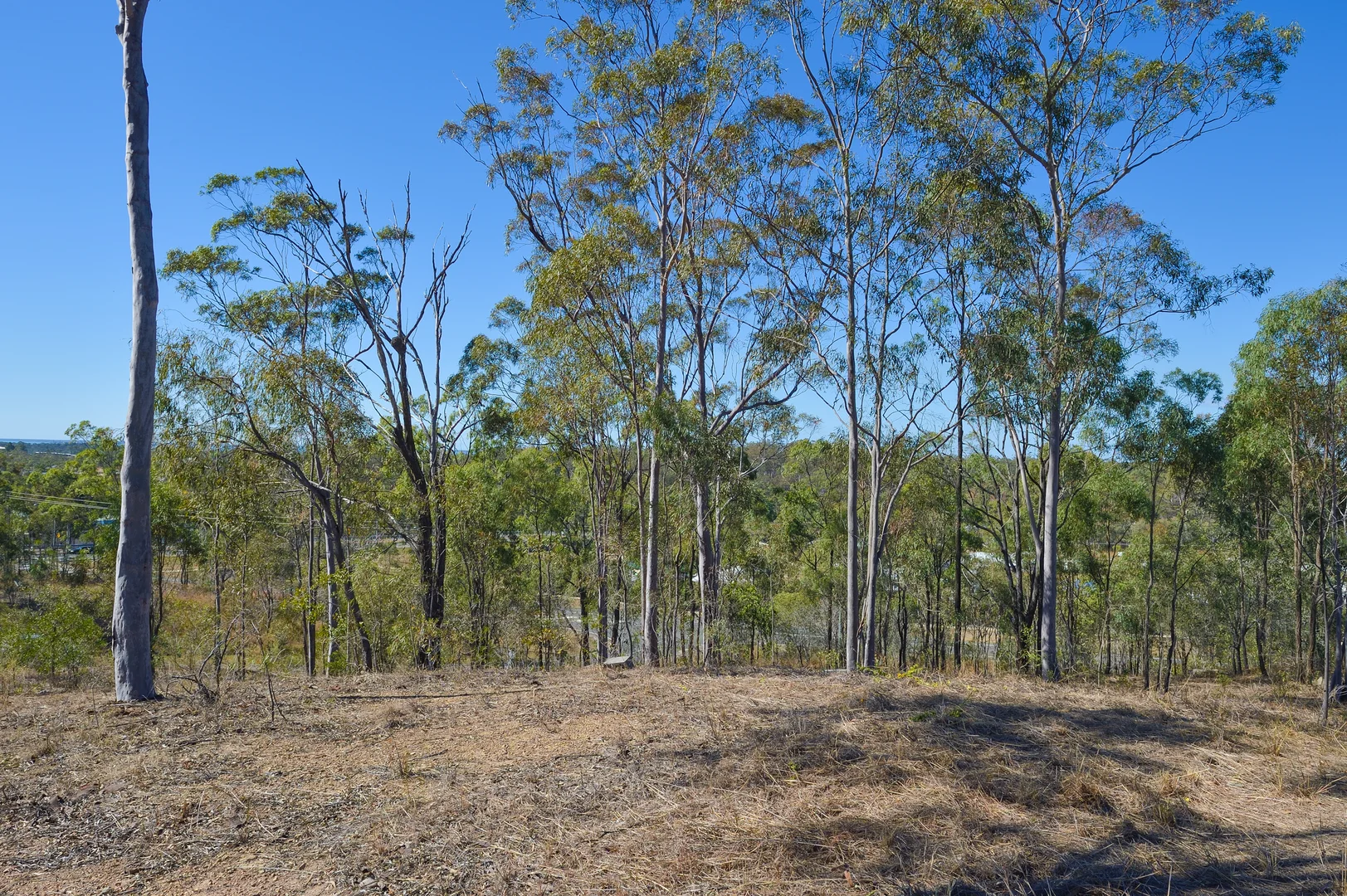Additional image 7 of 3 Tree Tops Close, O'Connell QLD 4680