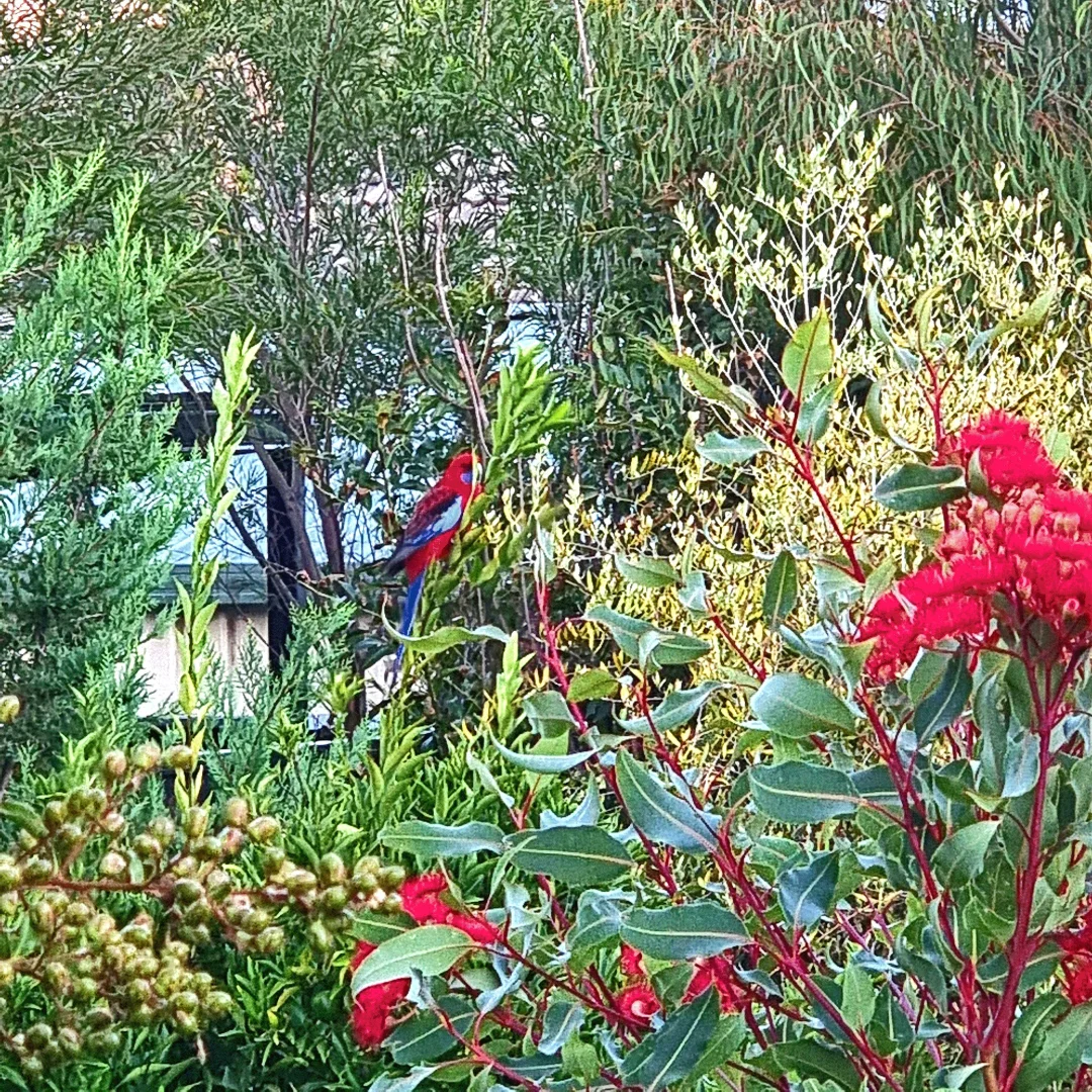 Additional image 6 of 90 Harris Street, Corryong VIC 3707