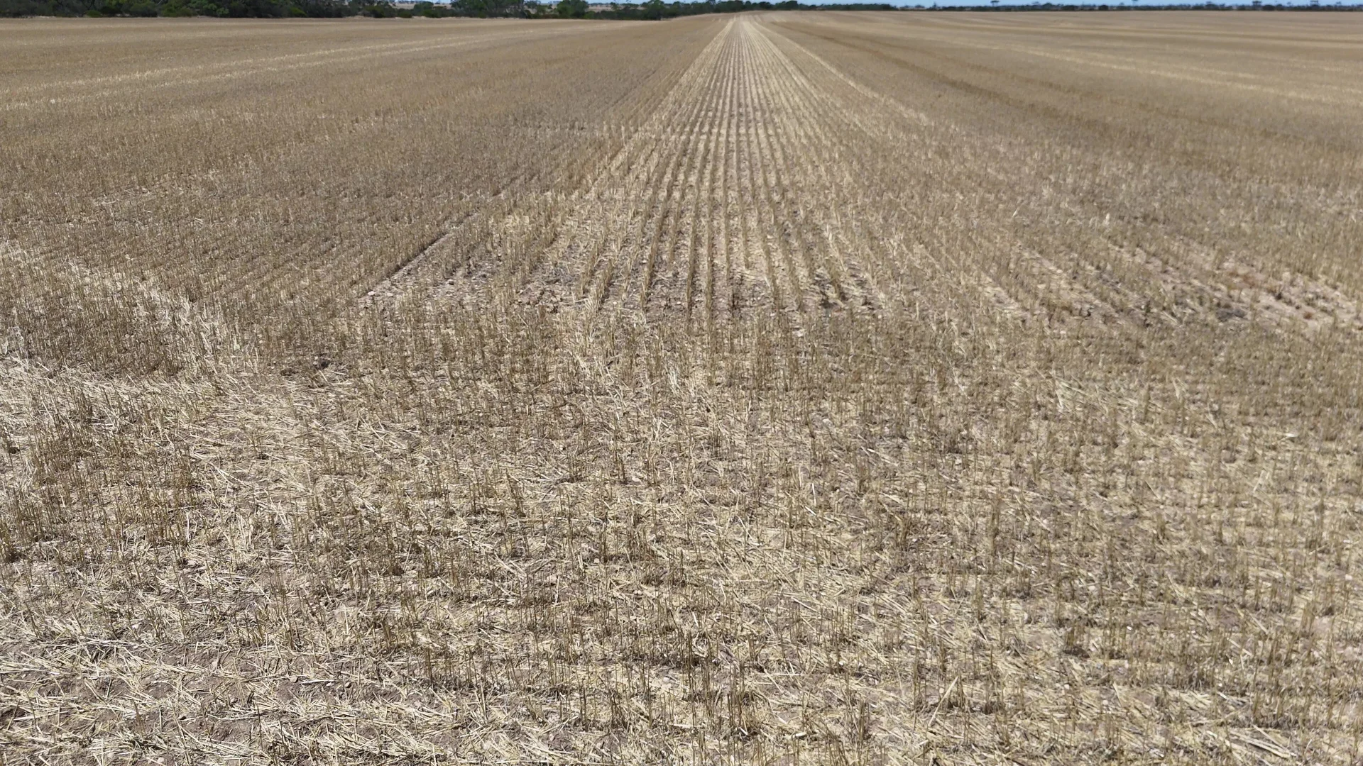 Additional image 8 of Allotment 1 & 2 Mines Road, Boors Plain SA 5554