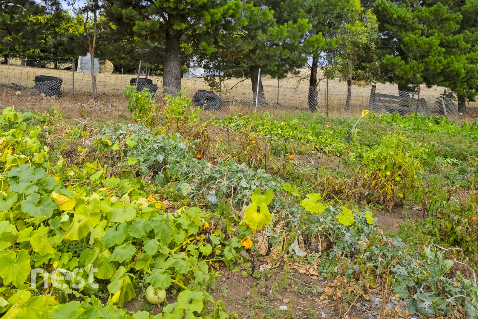 Additional image 17 of 6 Whynyates Street, Oatlands TAS 7120