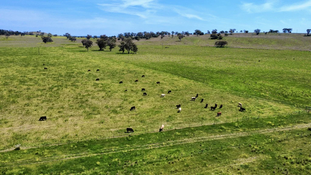 Additional image 9 of Gunnedah NSW 2380