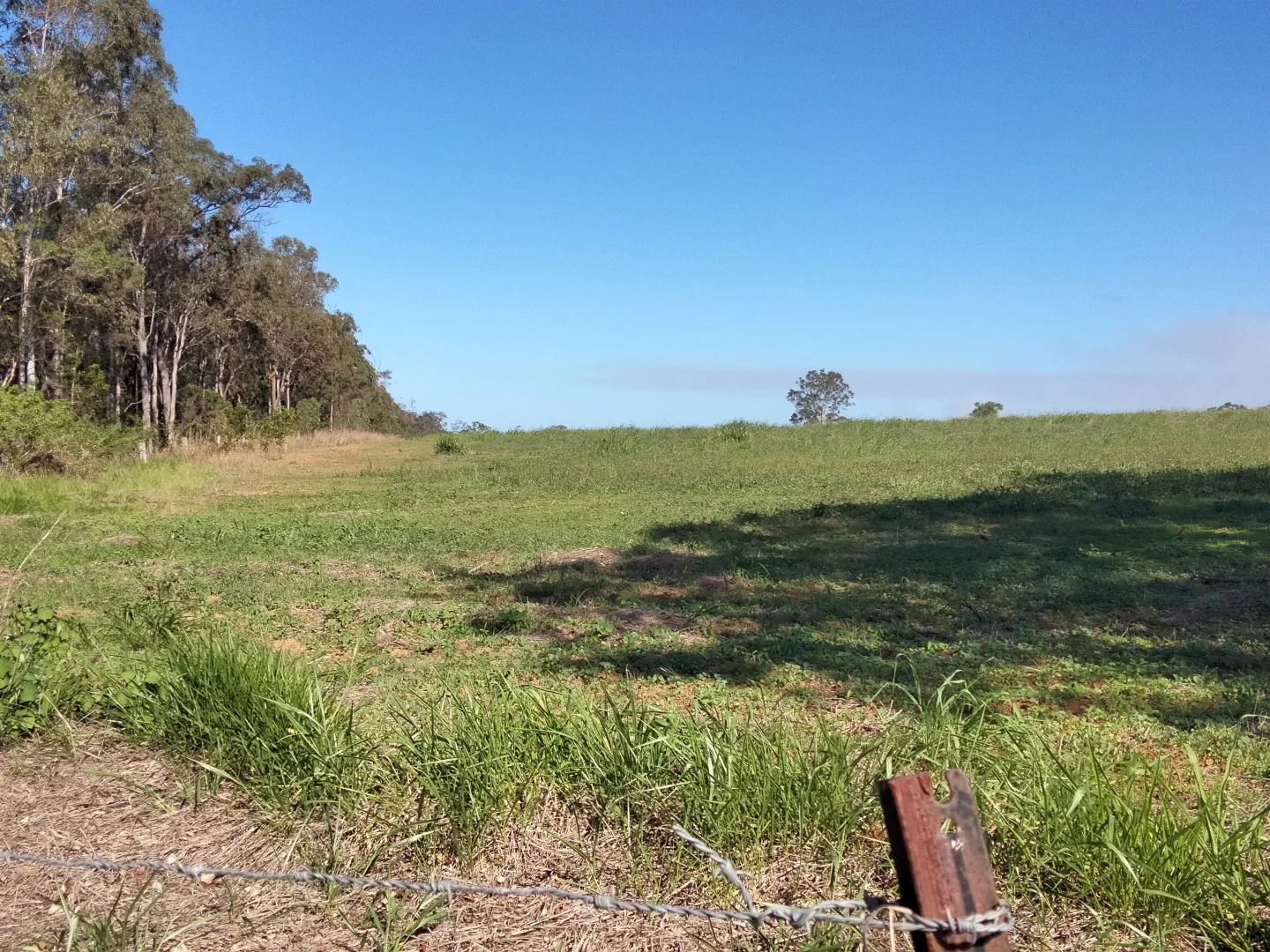 Additional image 58 of 2913 Rosedale Road, Yandaran QLD 4673