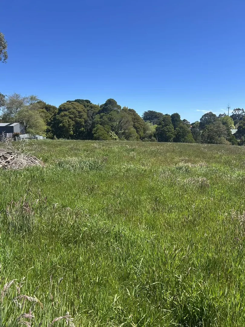 Additional image 12 of 18A Great Ocean Road, Lavers Hill VIC 3238