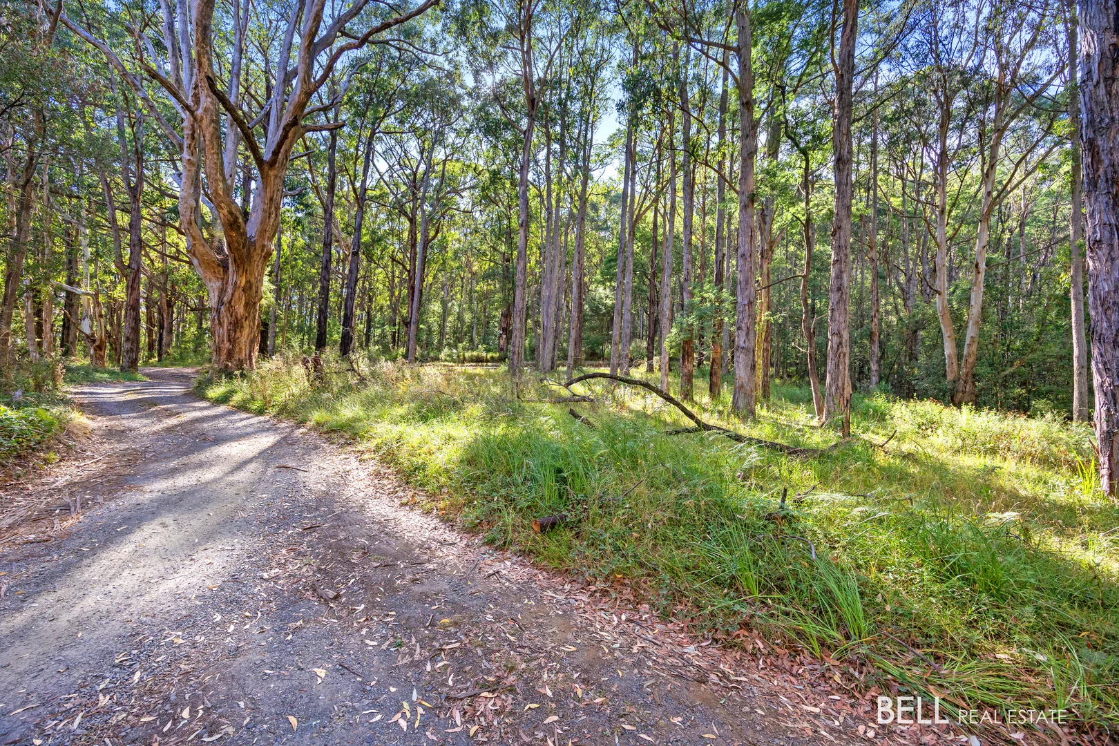 Additional image 2 of 400 Old Warburton Road, Warburton VIC 3799