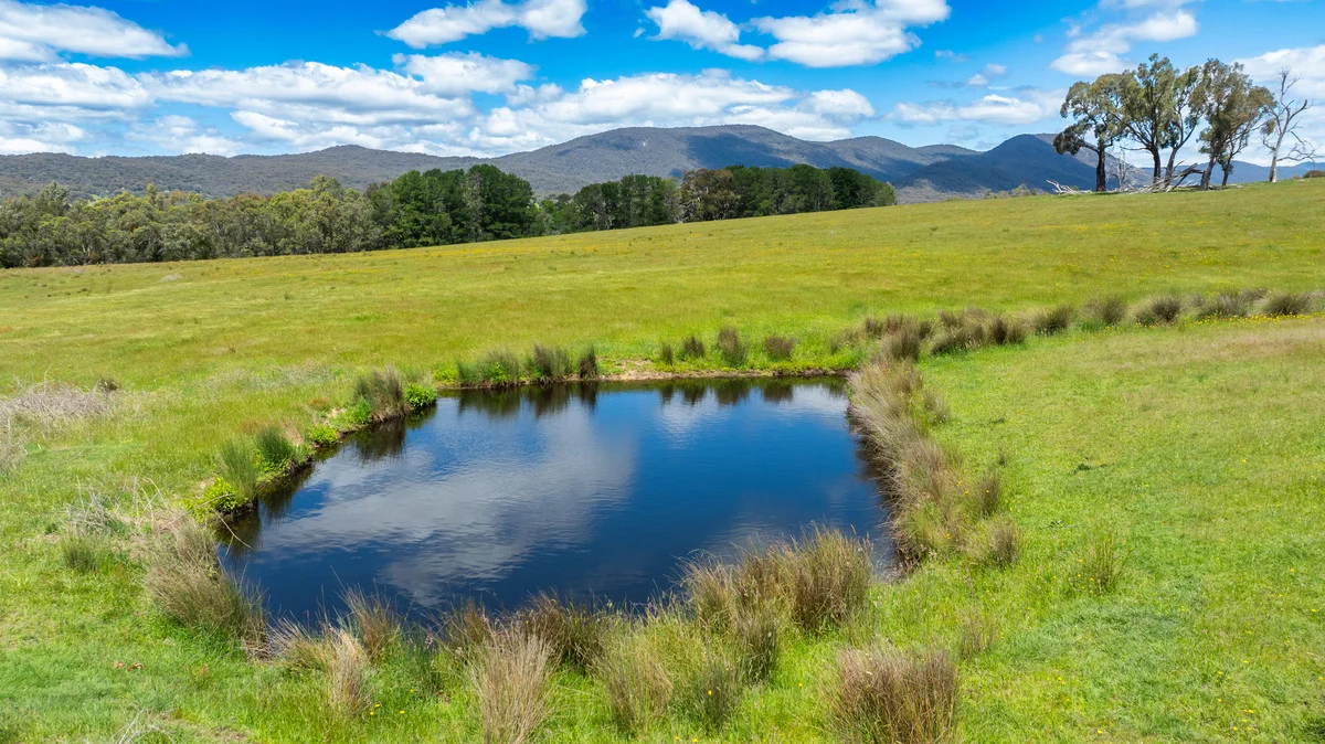 Additional image 15 of 672 Lima East Road, Lima East VIC 3673