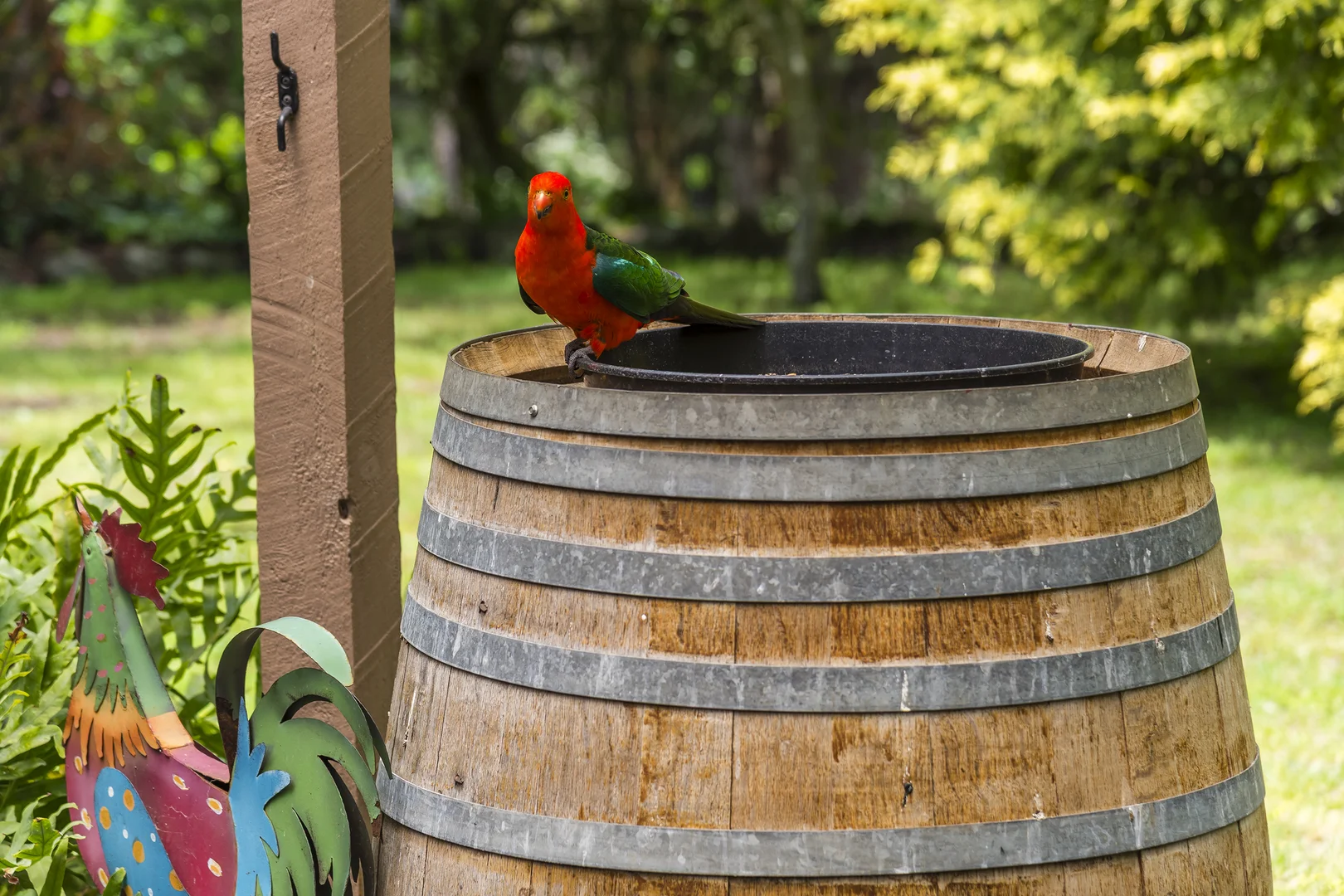 Additional image 20 of 59 Ellandee Crescent, Macedon VIC 3440