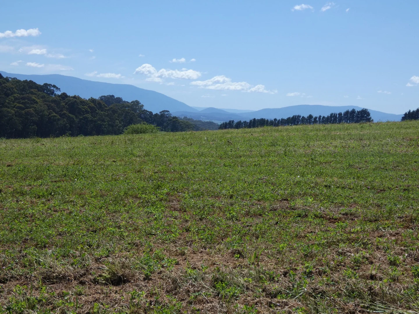 Additional image 14 of Lot 1/95 Macclesfield Road, Monbulk VIC 3793