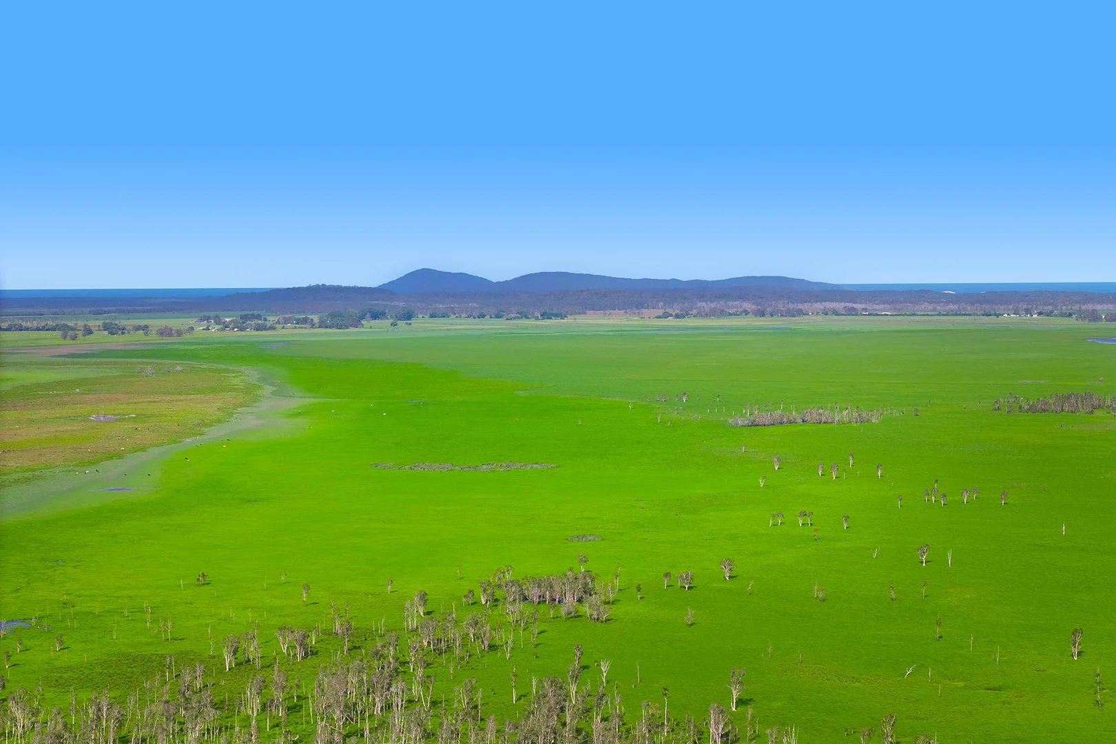 Additional image 10 of 1/437 Seale Road, Belmore River NSW 2440