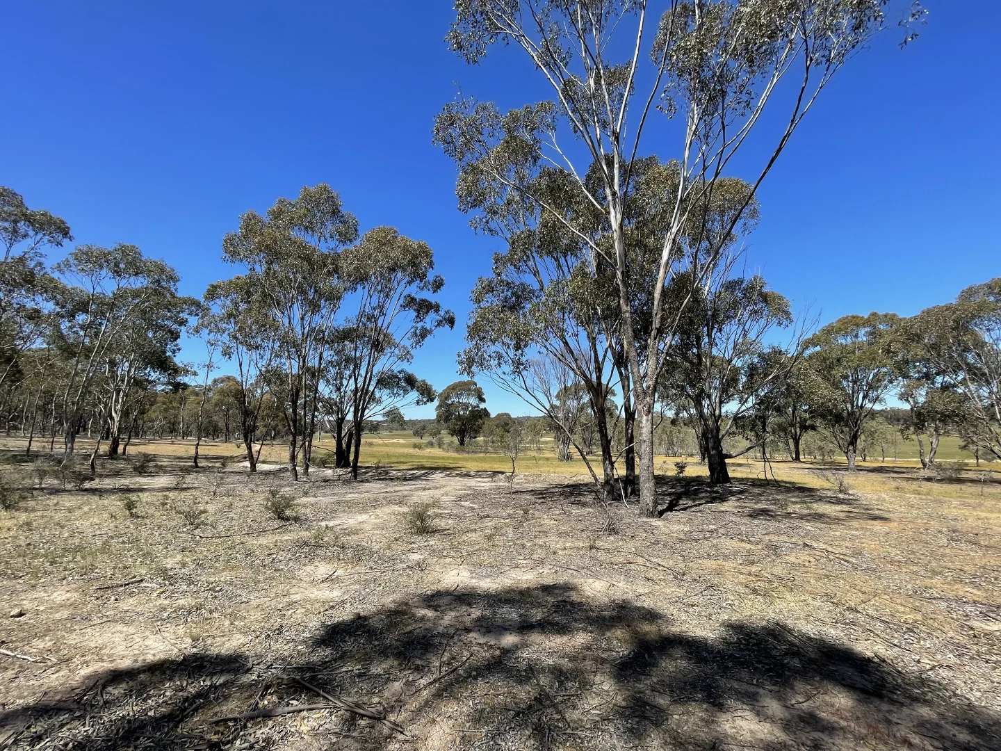 Additional image 15 of Allotment 7D Wedderburn Road, St Arnaud East VIC 3477