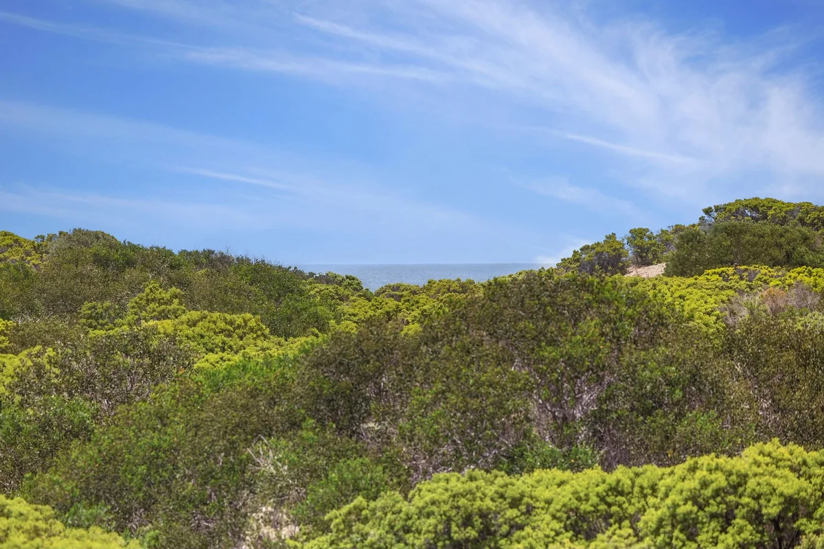 Additional image 9 of 207 The Esplanade, Torquay VIC 3228