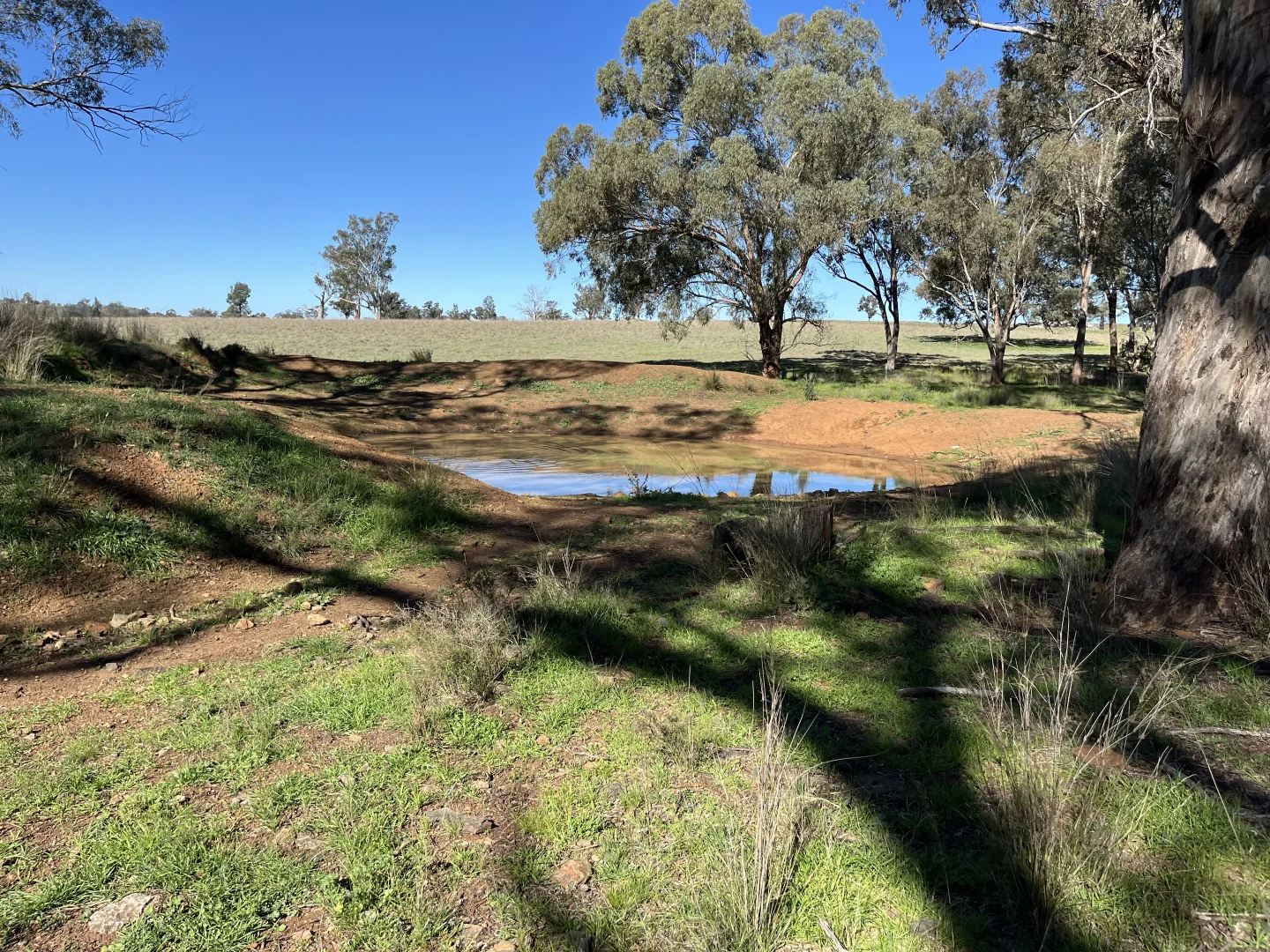 Additional image 31 of "Piambra" 714 Piambra Road, Binnaway NSW 2395