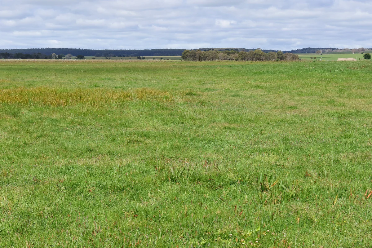 Additional image 6 of Brians Road, Breakaway Creek VIC 3303