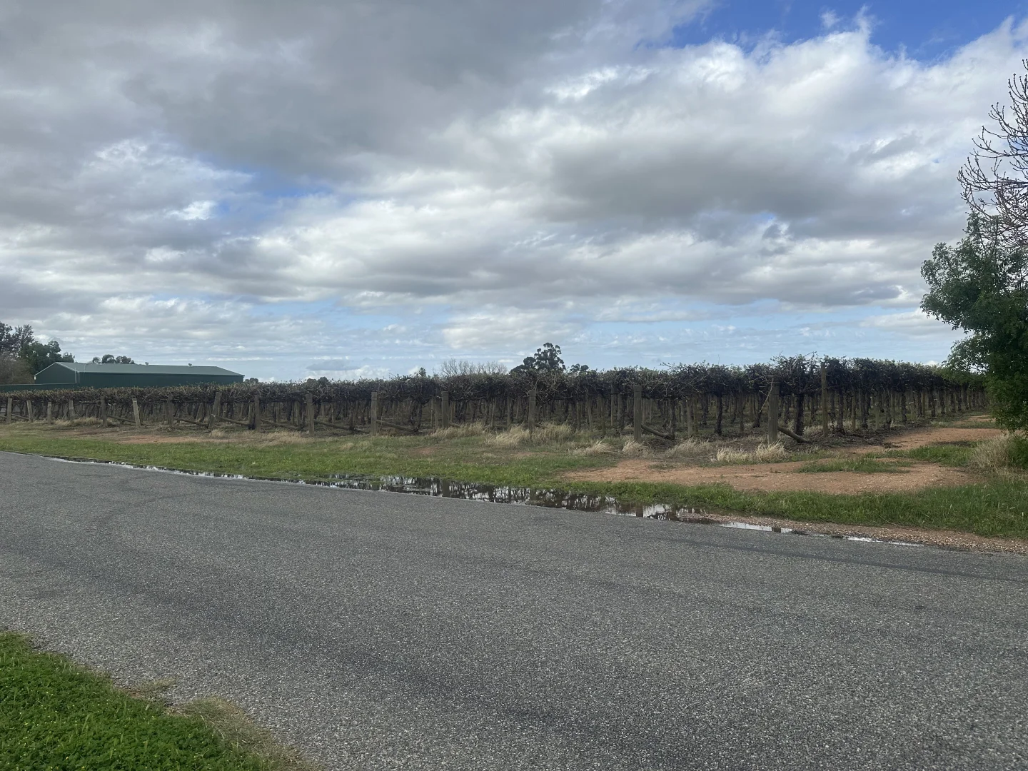 Additional image 2 of Lot 24 Tarcoola Street, Renmark West SA 5341