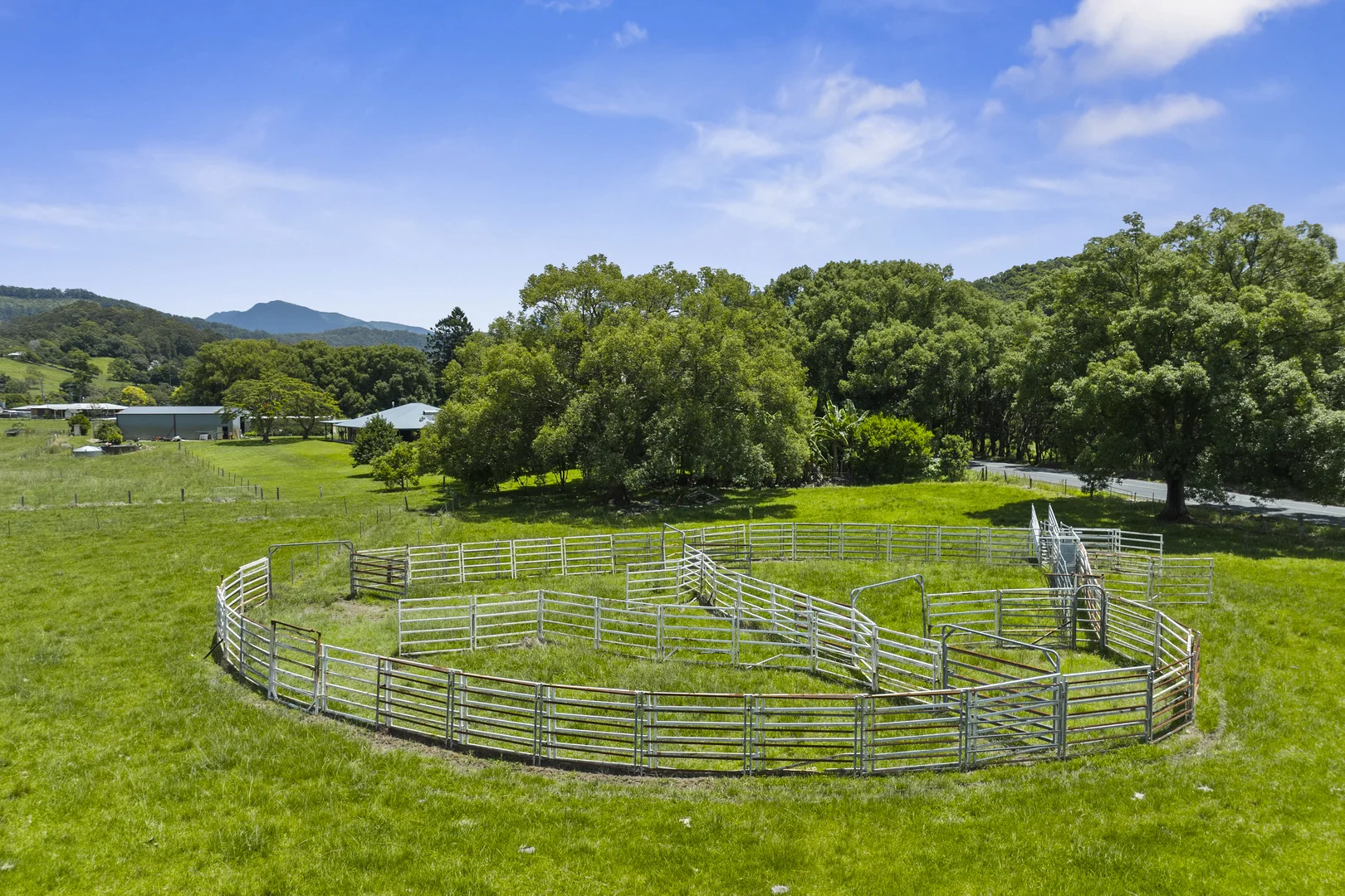 Additional image 32 of 981 Numinbah Road, Crystal Creek NSW 2484