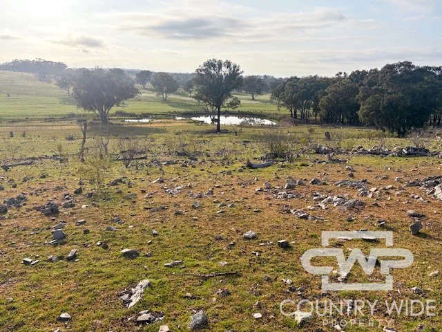 Additional image 28 of 1, - Emmaville Rd, Emmaville NSW 2371