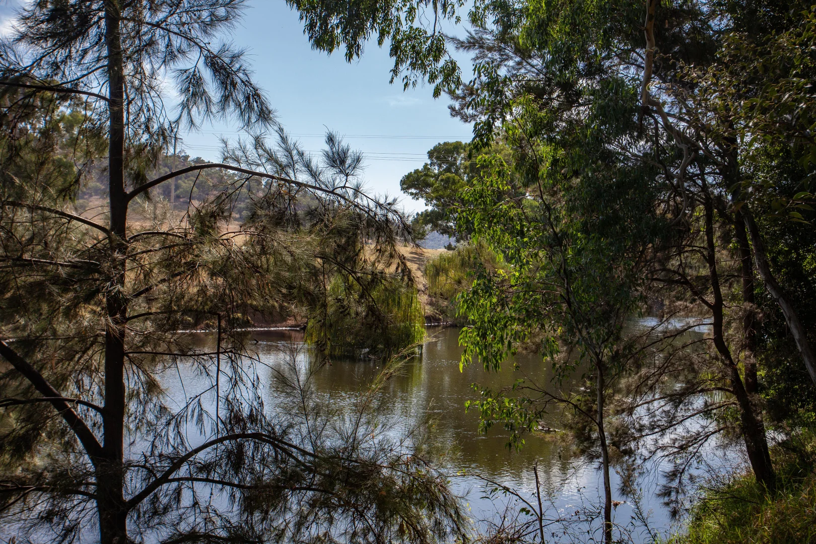 Additional image 18 of 15 Falls Road, Wellington NSW 2820