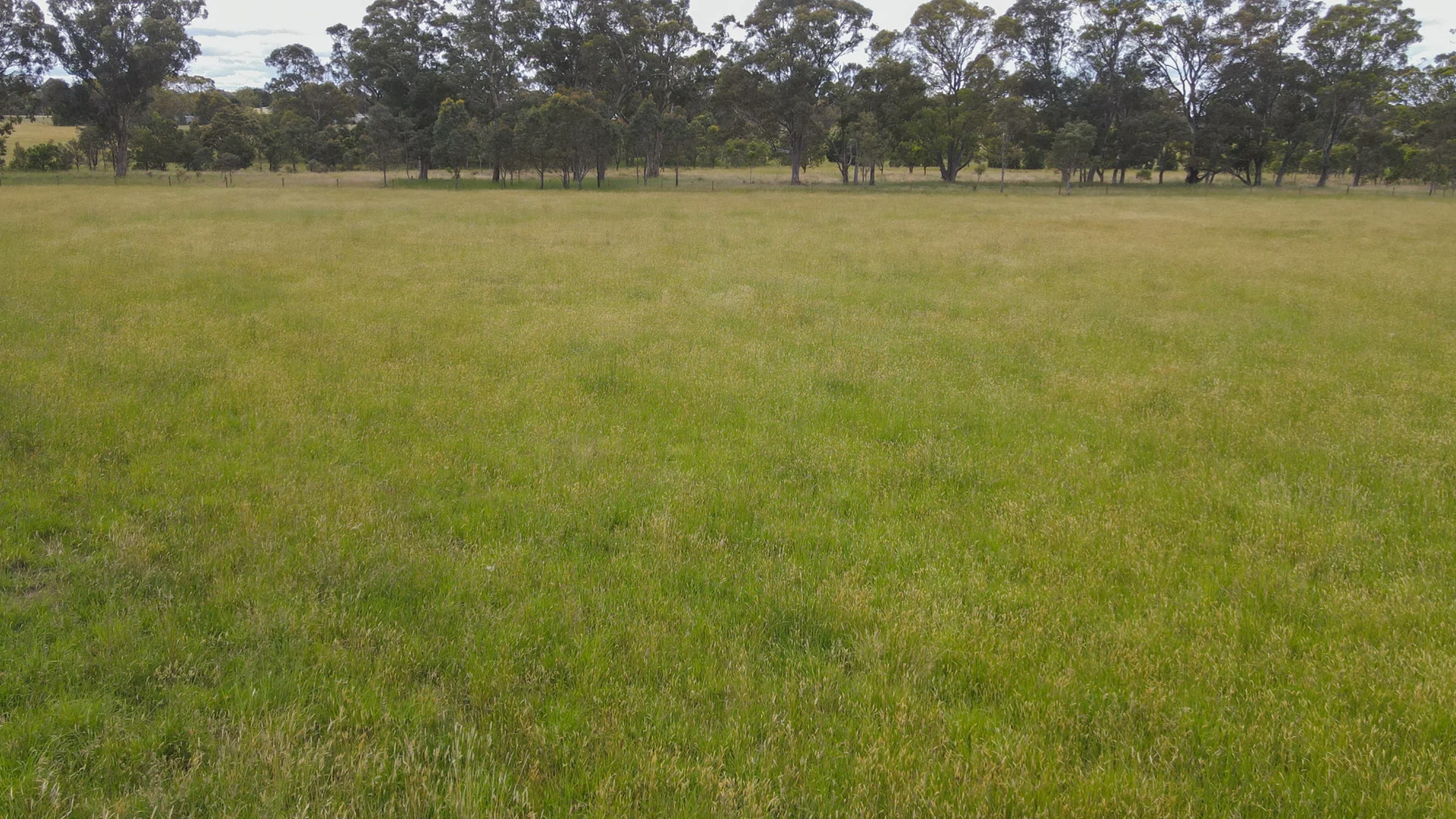 Additional image 5 of CA1 SECB Harris Lane, Toongabbie VIC 3856