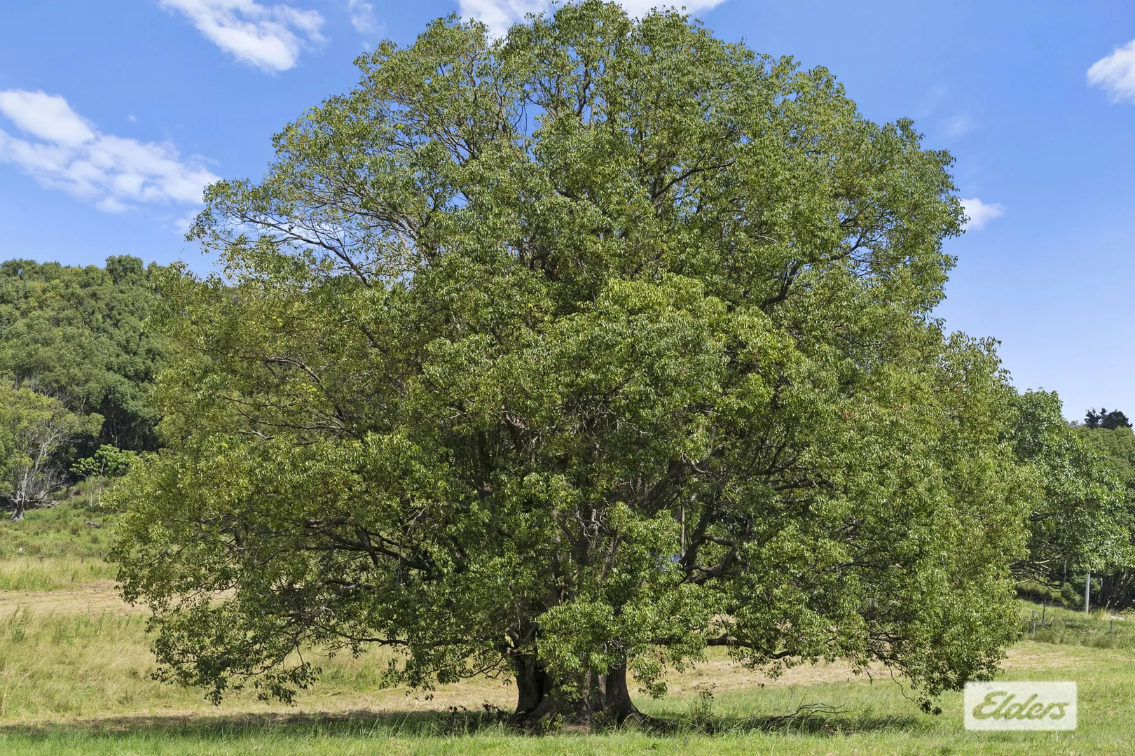 Additional image 17 of 889 Terranora Road, Bungalora NSW 2486