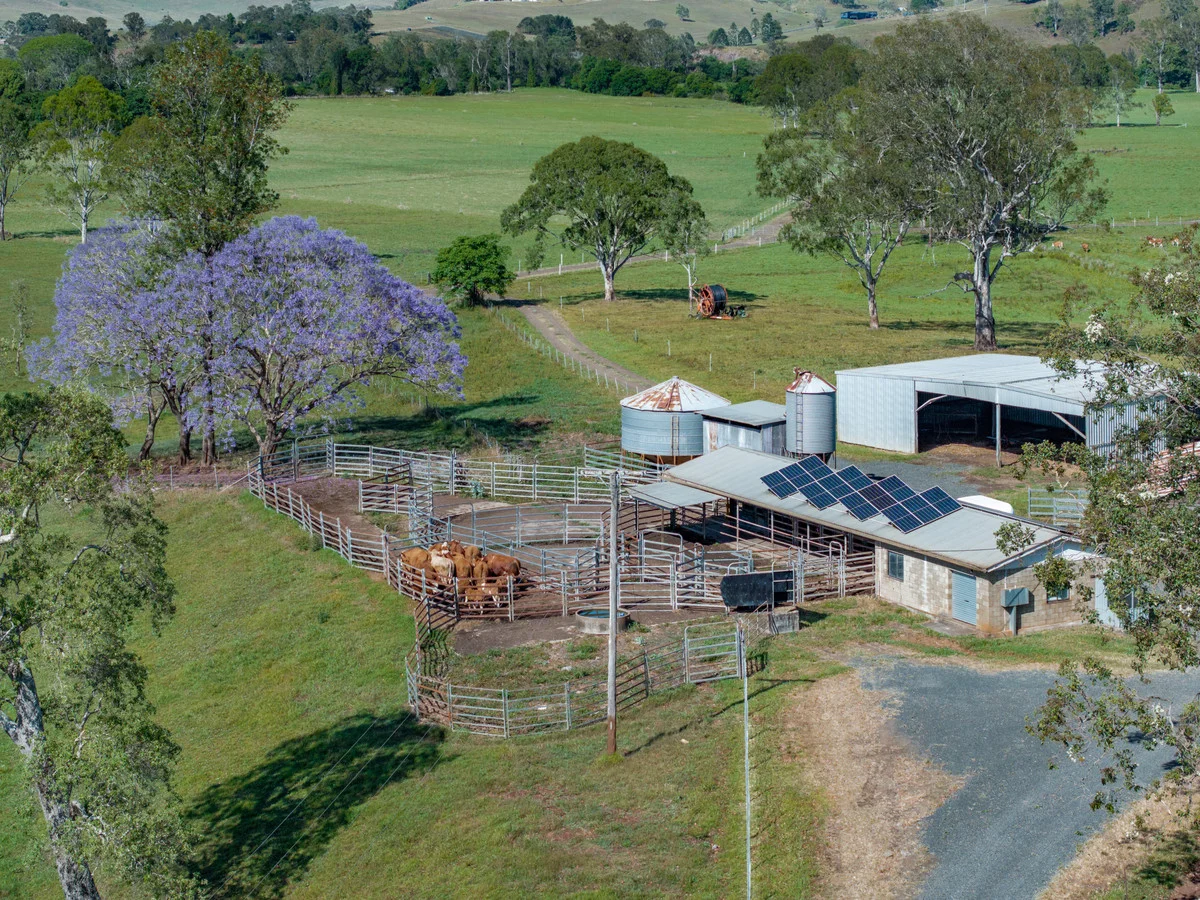 Additional image 16 of 800 Fawcetts Plain Road, Kyogle NSW 2474