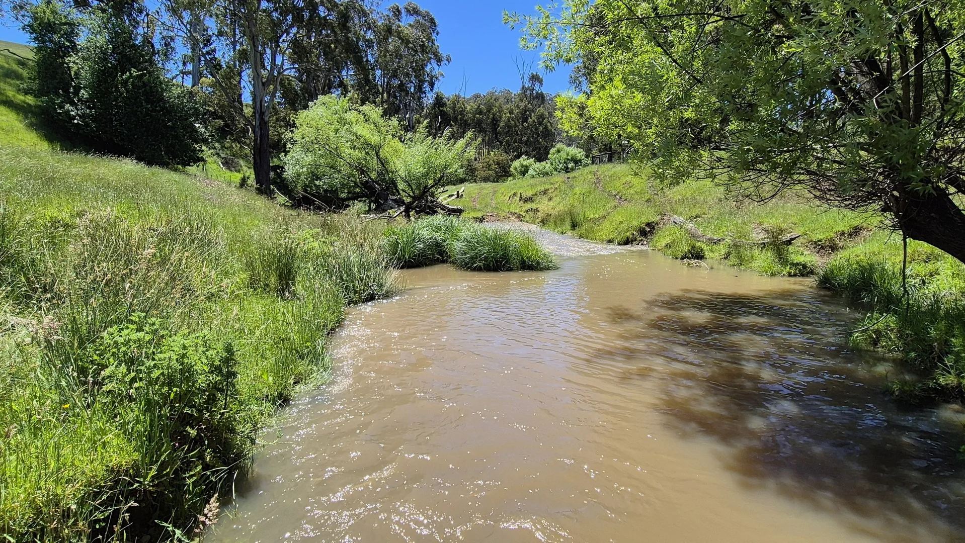 Additional image 19 of 735 Callignee South Road, Callignee VIC 3844