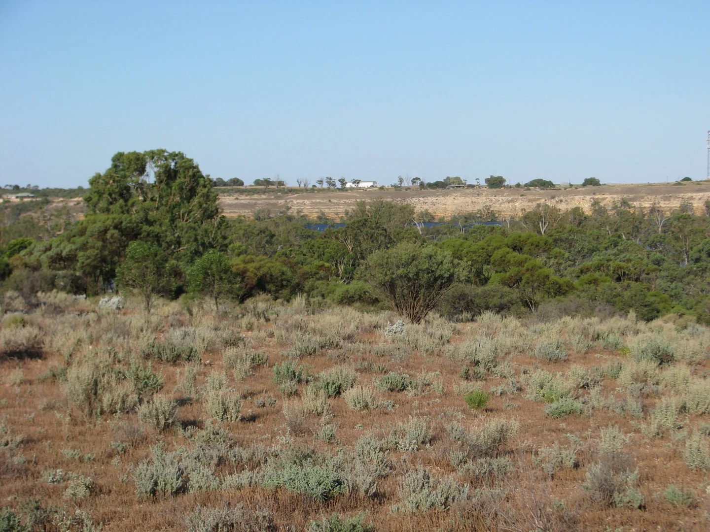 Additional image 13 of lot 1000 Merivale Street, Blanchetown SA 5357