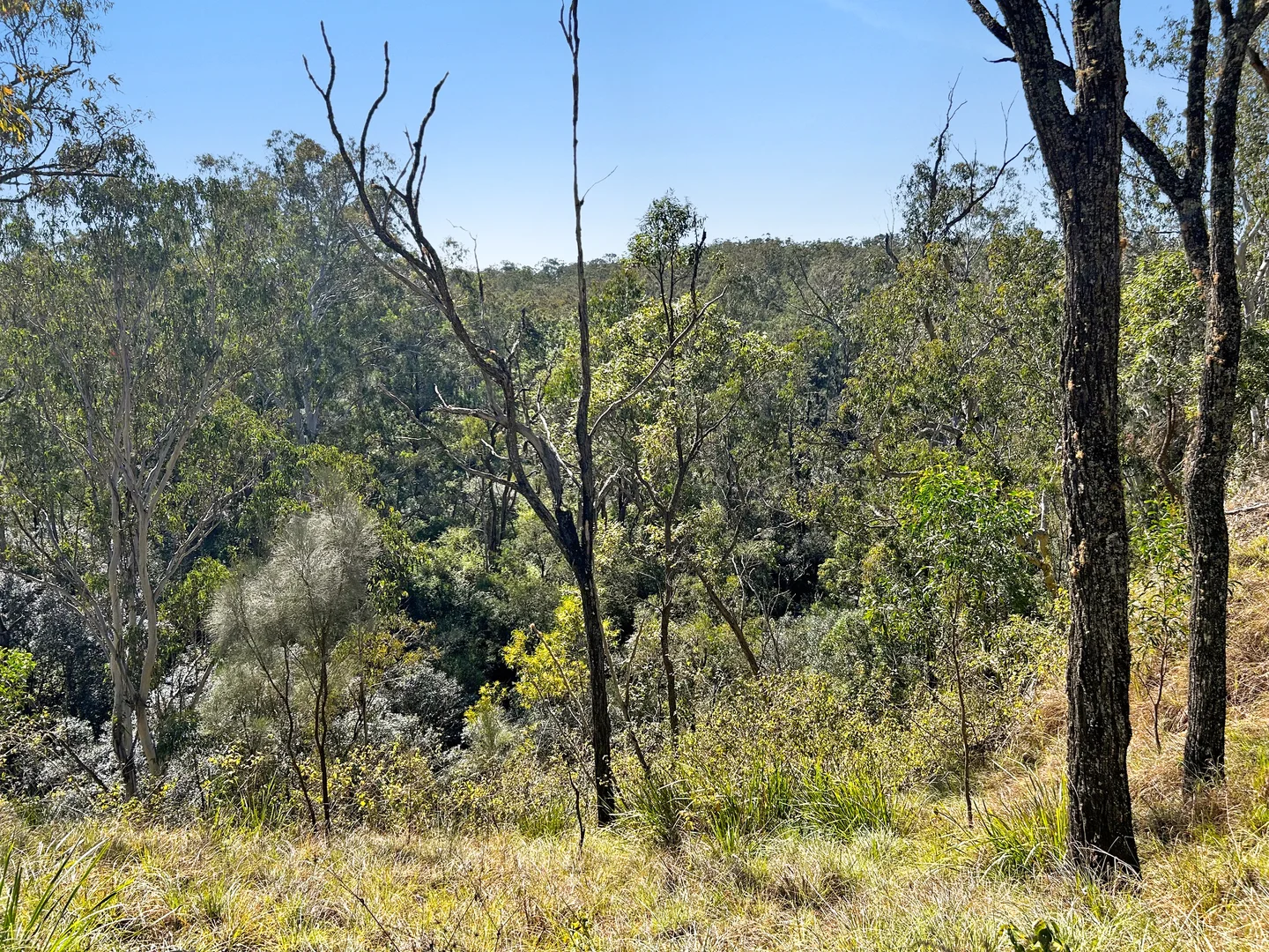 Additional image 4 of Lot 201 Paddys Flat Road, Tooloom NSW 2475