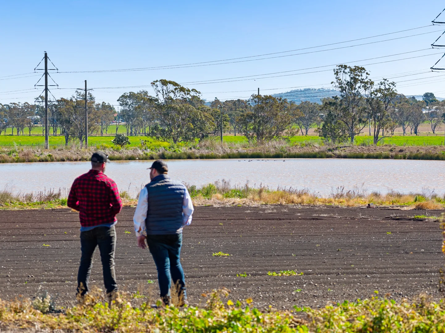 Additional image 4 of "Westview" 189 Toowoomba-Karara Road, Finnie QLD 4350