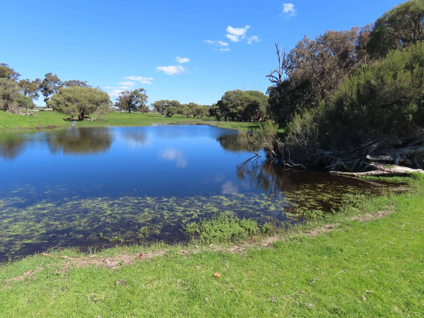 39 Gibbs Road, Uduc WA 6220