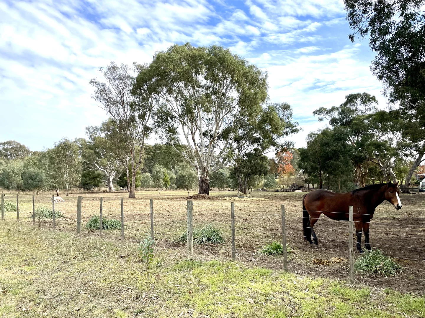 Additional image 17 of 7 Tuckett Street, Casterton VIC 3311