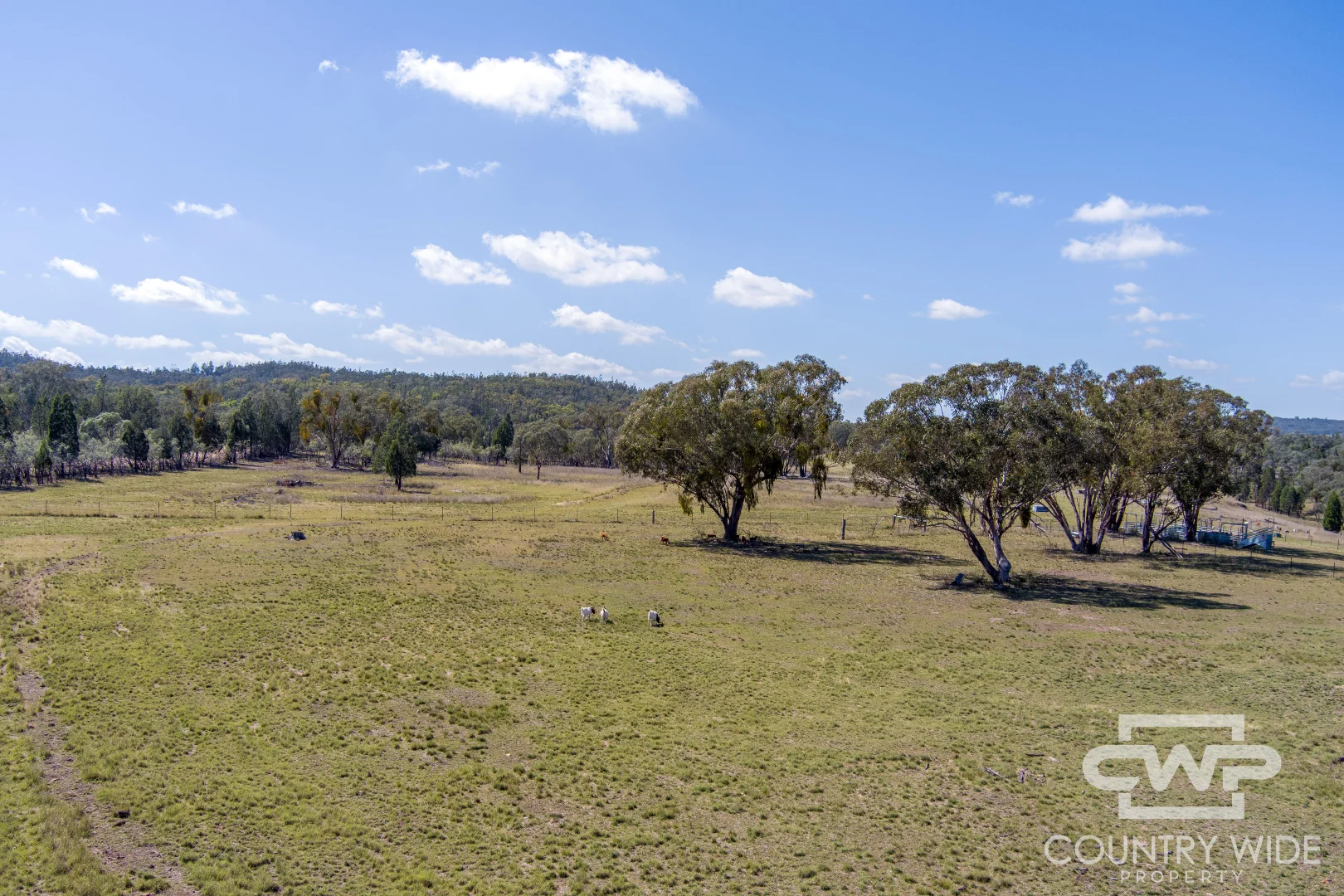 Additional image 25 of 1986 Pindari Dam Road, Pindaroi NSW 2361