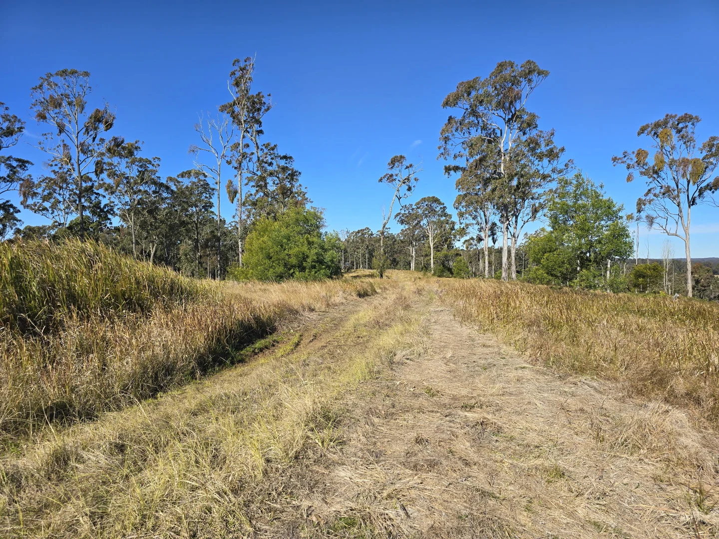 Additional image 20 of 0 SUNDAY CREEK ROAD, Jimna QLD 4515
