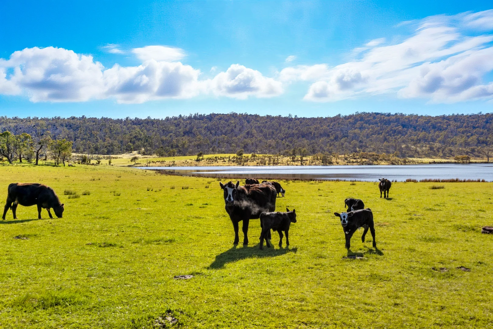 Additional image 6 of 'Hydaway' 448 Westwood Road, Westwood TAS 7292