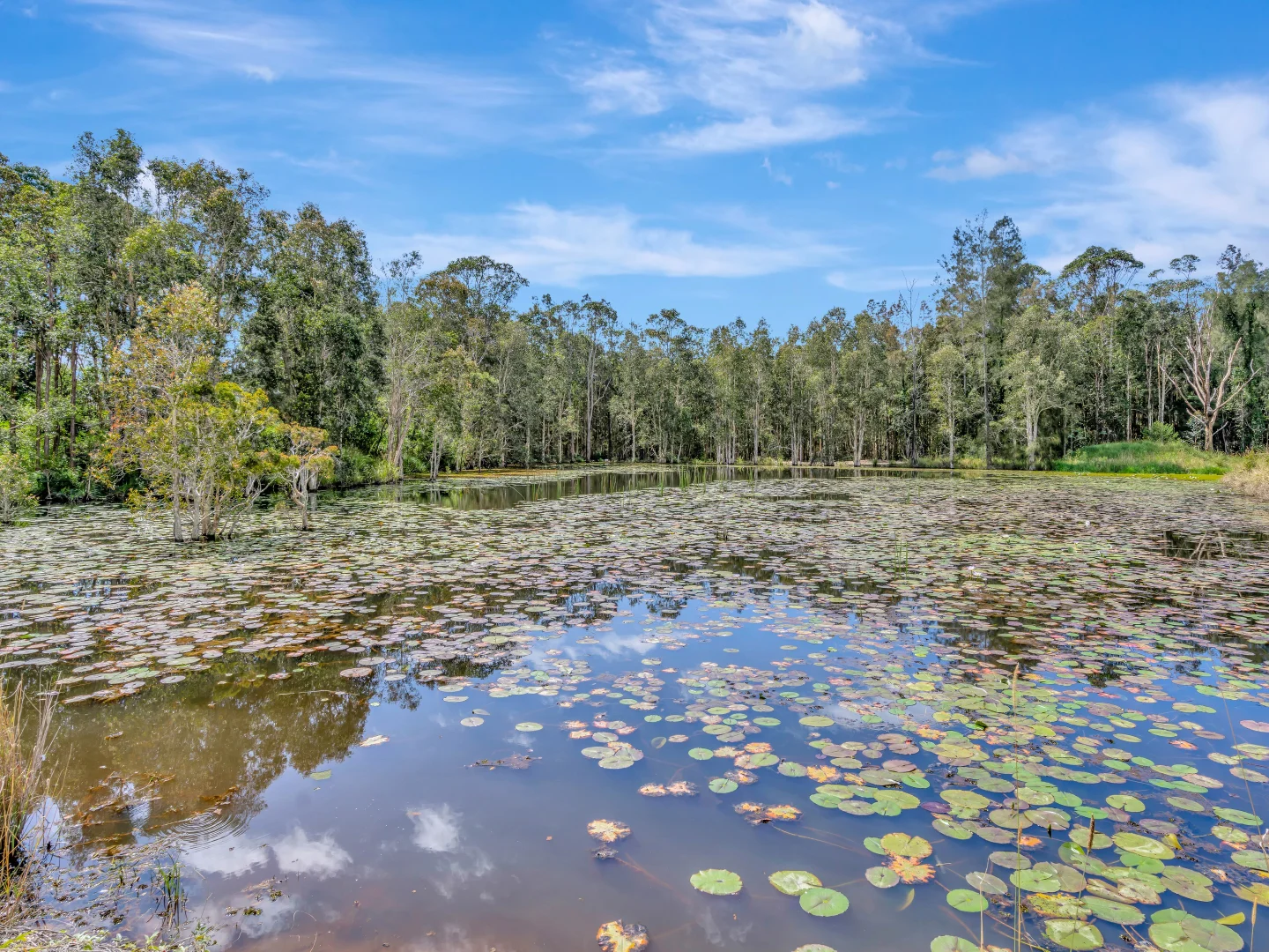 Additional image 6 of 13 Schuppe Drive, Congarinni North NSW 2447