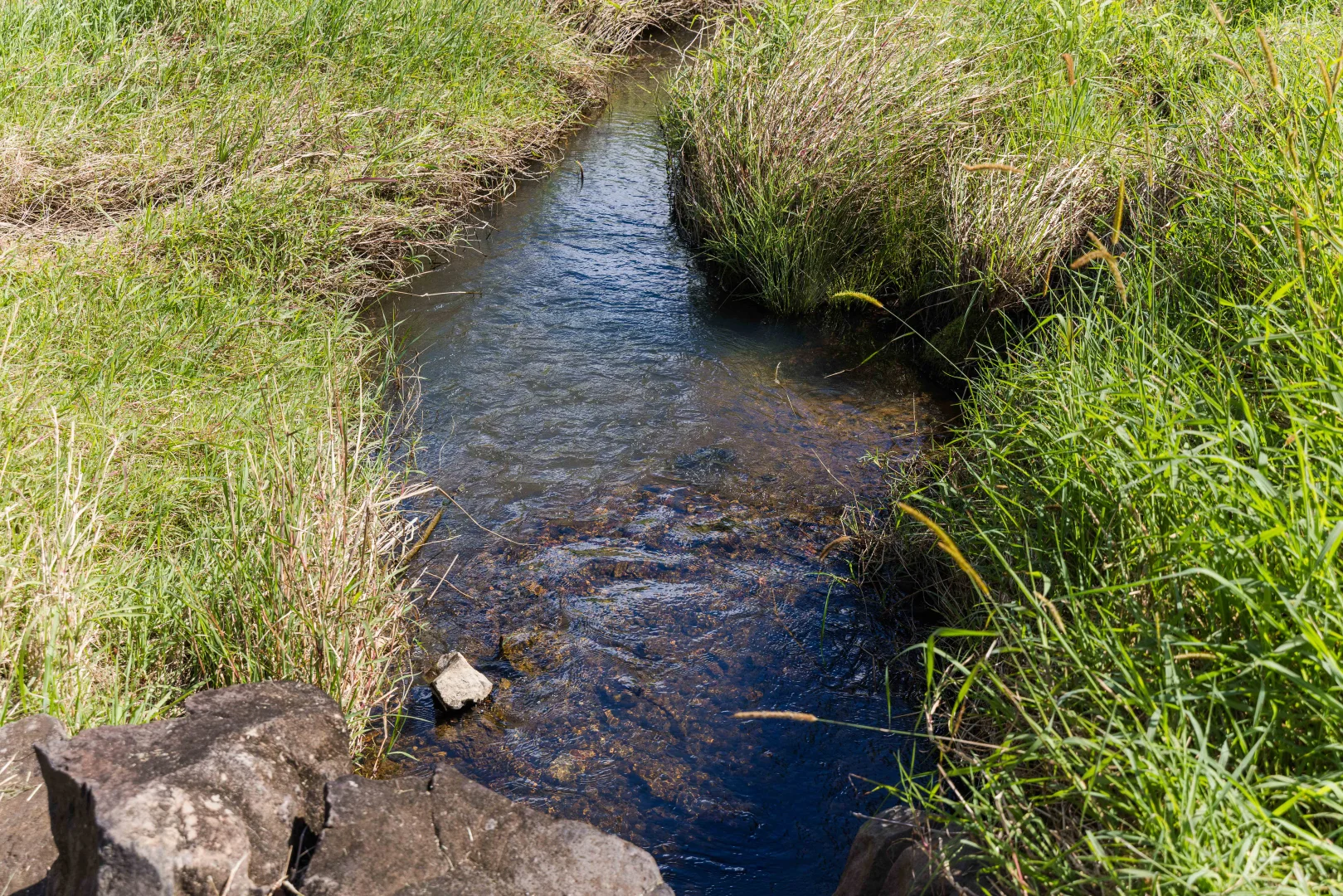 Additional image 2 of Cootharaba QLD 4565