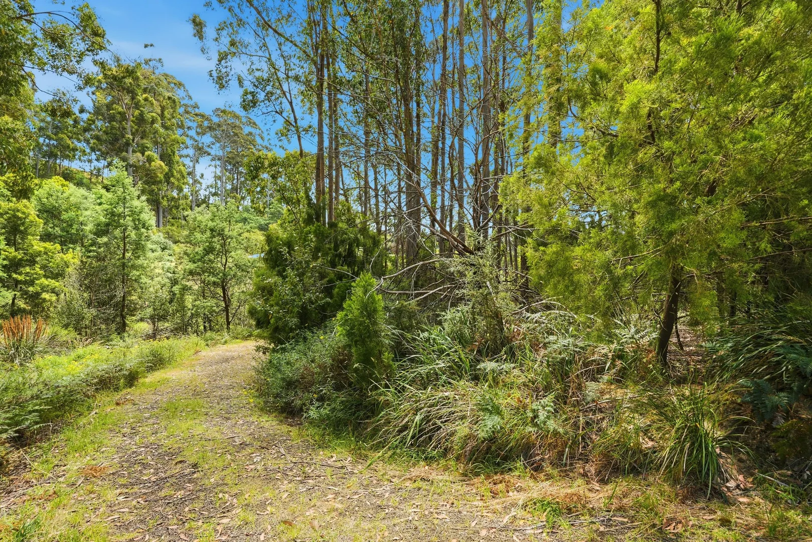Additional image 5 of 10 Esperance Coast Road, Dover TAS 7117