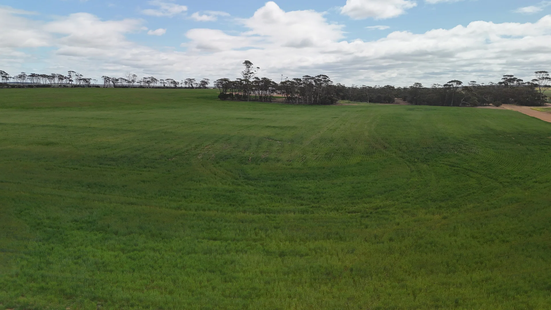 Additional image 16 of 3279 Calzoni Road, Hyden WA 6359