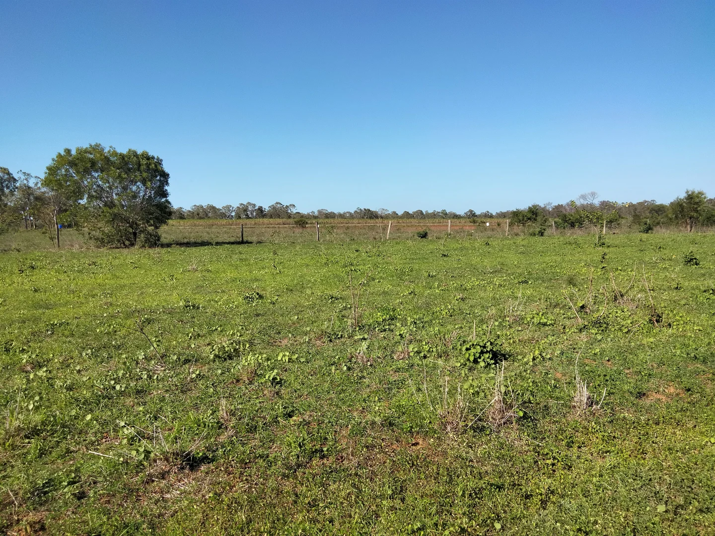 Additional image 64 of 2913 Rosedale Road, Yandaran QLD 4673