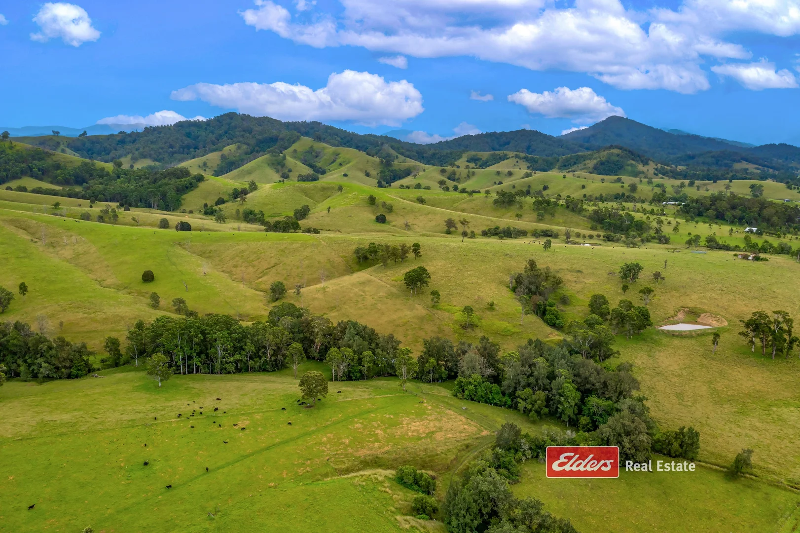 Additional image 5 of 2121 Salisbury Road, Salisbury via, Dungog NSW 2420