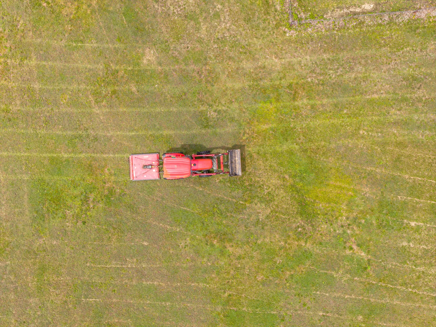 Additional image 29 of 63 Patane Road, Wamuran QLD 4512